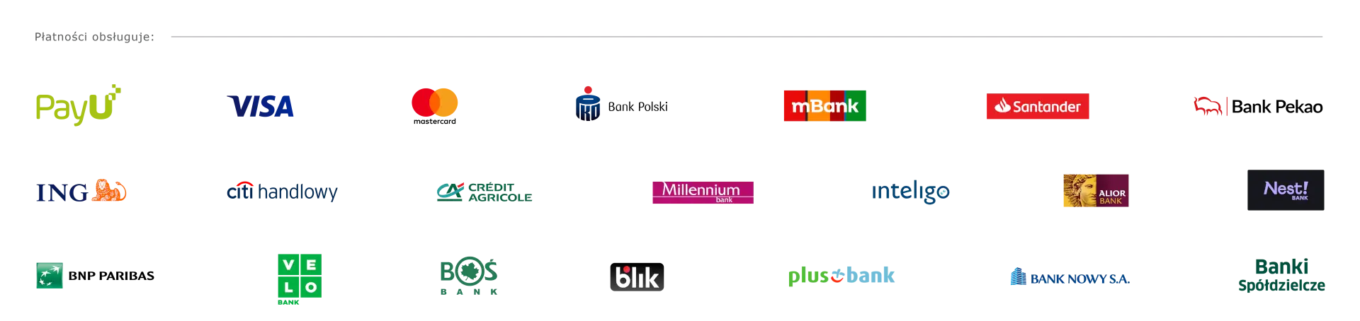 payments img info