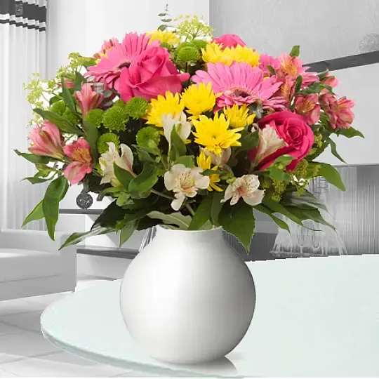 Cheerful Morning